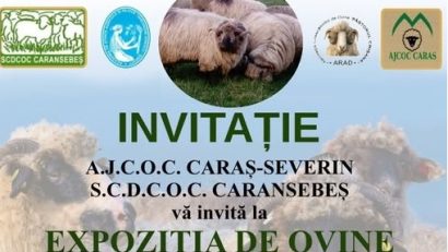 Expoziție de Ovine, la Caransebeș  