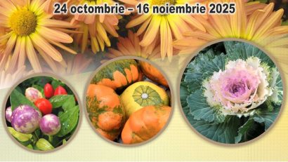 „Flori de toamnă 2025”, la Grădina Botanică din Iași