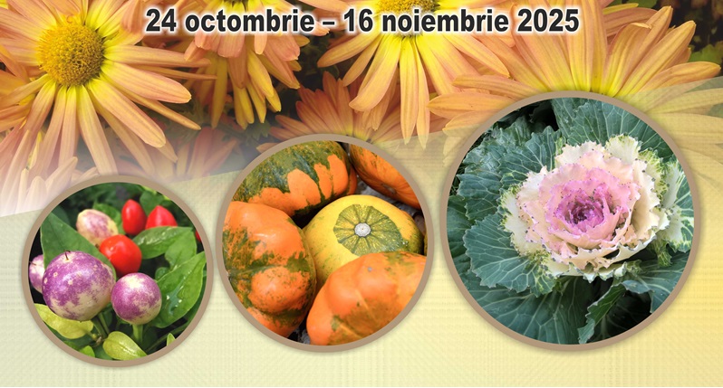 „Flori de toamnă 2025”, la Grădina Botanică din Iași „Flori de toamnă 2025”, la Grădina Botanică din Iași