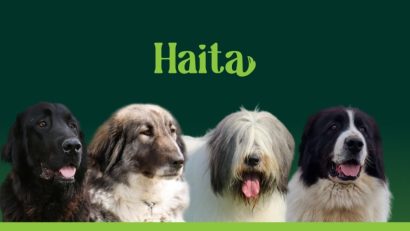 Gala Ciobăneștilor Românești, la Senatul României