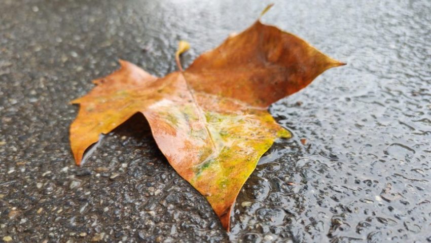 O masă de aer din nordul Europei scade temperaturile în România