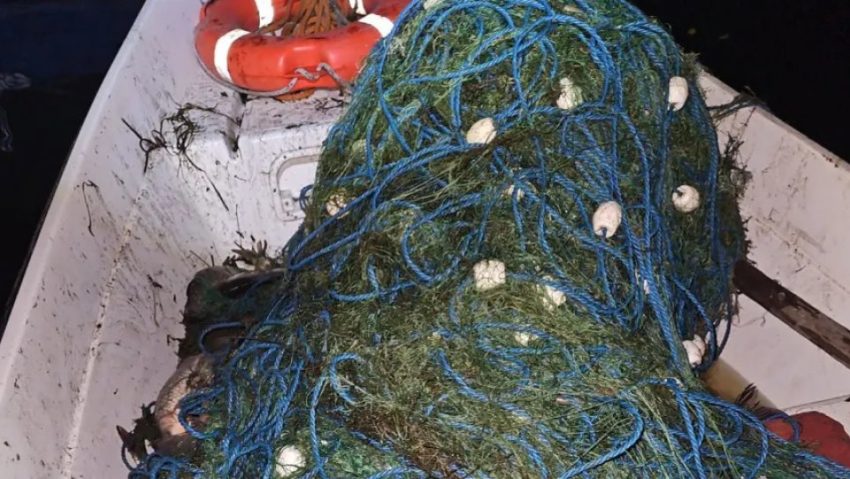 TULCEA: Acțiune de combatere a braconajului pe lacul Fortuna TULCEA: Acțiune de combatere a braconajului pe lacul Fortuna