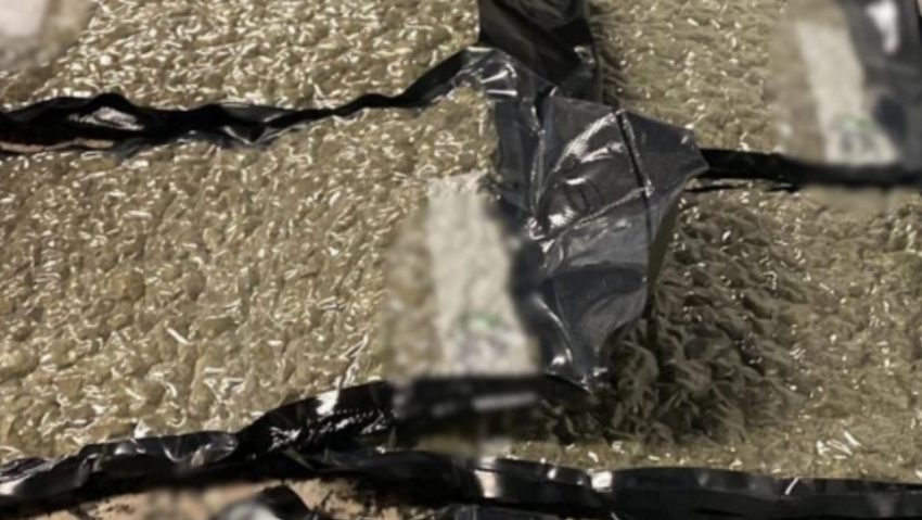 Captură de canabis, pe Aeroportul Otopeni Captură de canabis, pe Aeroportul Otopeni