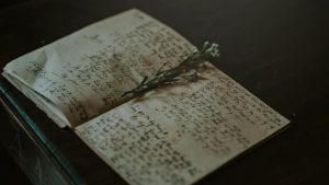 GORJ: Festivalul Internaţional de Umor şi Caricatură „Ion Cănăvoiu” stabilește un record de participare
