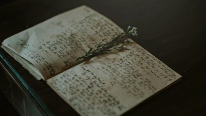 GORJ: Festivalul Internaţional de Umor şi Caricatură „Ion Cănăvoiu” stabilește un record de participare