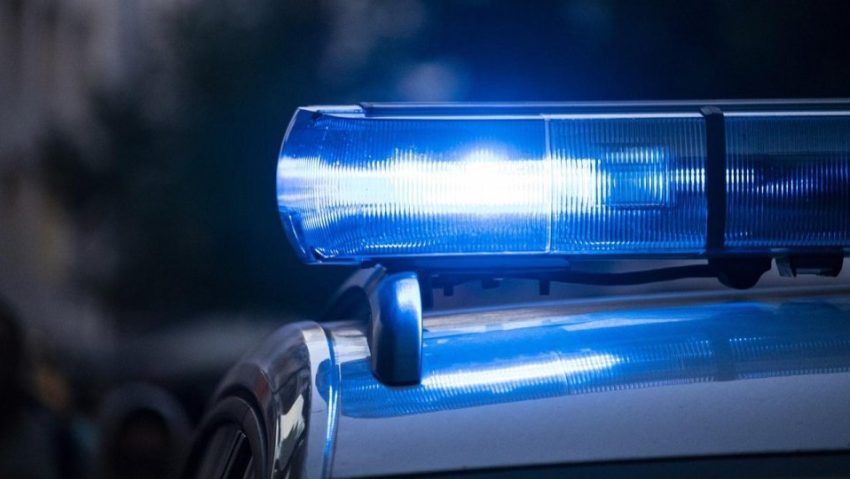 VRANCEA: Copil de 3 ani, ucis de câini în orașul Mărășești