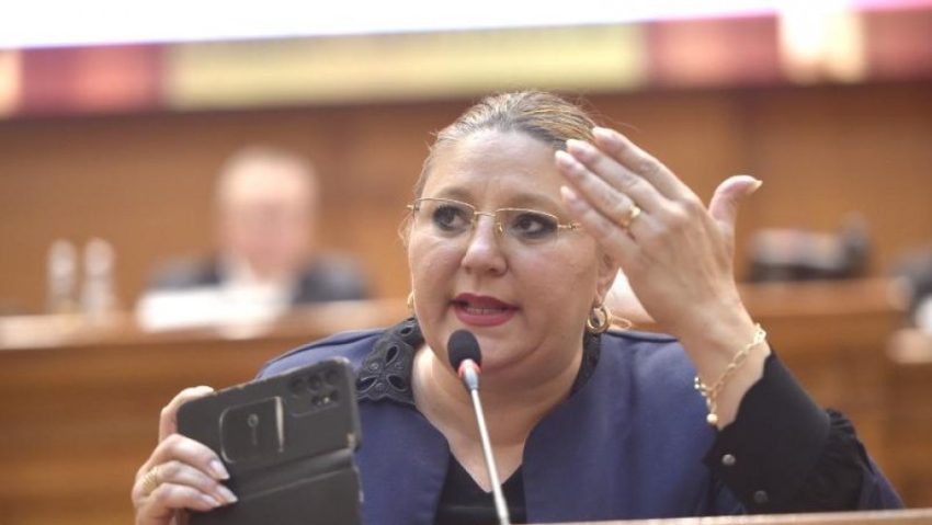 Diana Şoşoacă, audiată la Parchetul General în dosarul de propagandă legionară