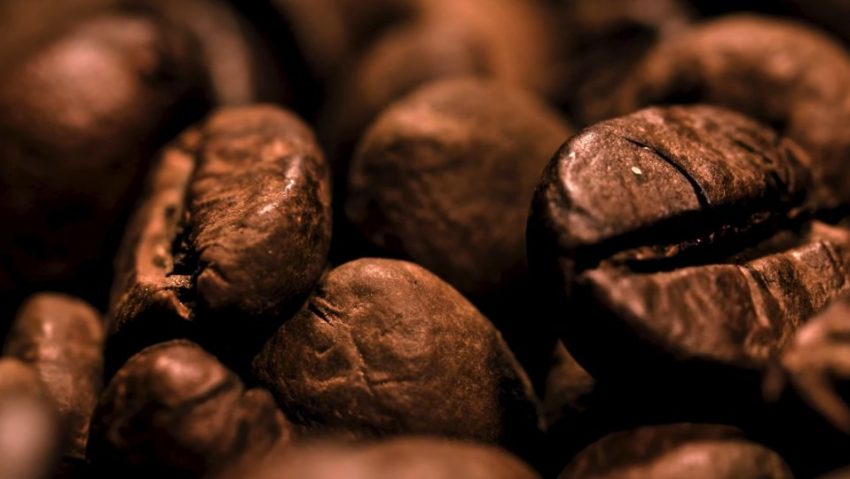 Columbia, la cea mai bună recoltă de cafea din ultimele decenii
