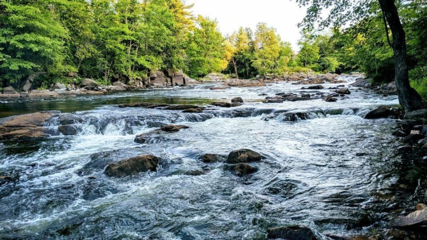 Cod portocaliu de inundaţii, până la miezul nopții, pe râurile Topolog şi Casimcea Cod portocaliu de inundaţii, până la miezul nopții, pe râurile Topolog şi Casimcea