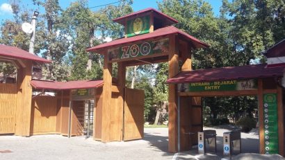 Program de iarnă la Zoo Târgu Mureș