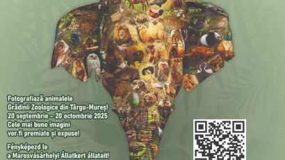 Fotografiile câștigătoare ale concursului ZOOmArt vor fi expuse vineri la Zoo Târgu Mureș