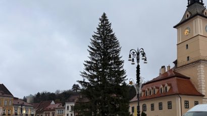 Bradul de Crăciun a ajuns în Piața Sfatului din Brașov