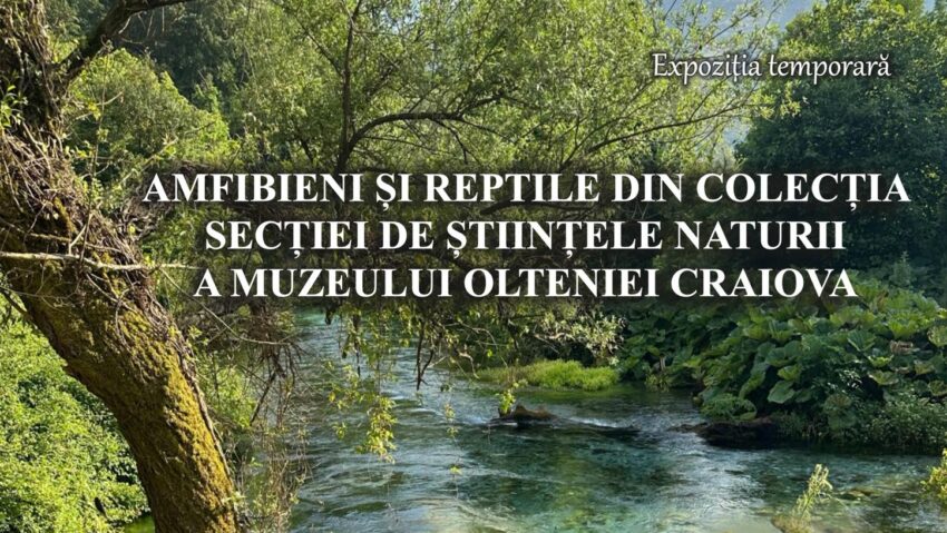 Craiova: Expoziţie de amfibieni şi reptile la Secţia de Ştiinţele Naturii a Muzeului Olteniei