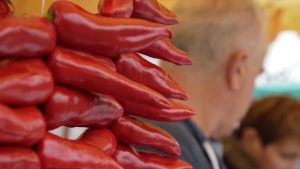 SPANIA: Recolta de ardei iute, celebrată anual în orașul Espelette | VIDEO