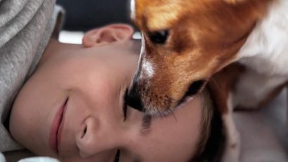 ASPA: Târg de adopții, la MINA Bucharest în ajun de Moș Nicolae