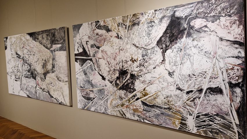 Expoziția „Culorile pământului 2”, la Palatul Culturii din Iași