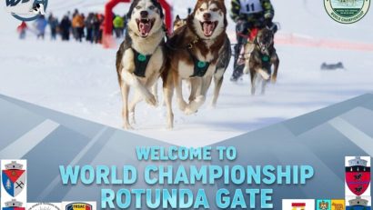 Cele mai bune atelaje canine pe zăpadă vin să se întreacă în România