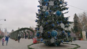 Mii de lumini și zeci de brazi, la Iași