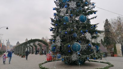 Mii de lumini și zeci de brazi, la Iași