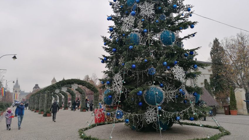 Mii de lumini și zeci de brazi, la Iași