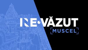 NE/RE-VĂZUT: MUSCEL | AUDIO