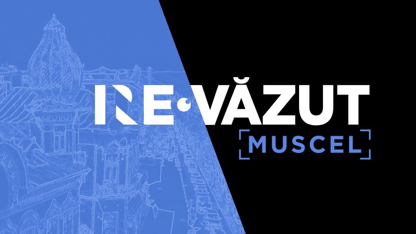 NE/RE-VĂZUT: MUSCEL | AUDIO
