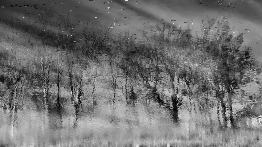 BUCUREȘTI: INKORPORE, o expoziție despre emoție, formă și spațiul dintre ele