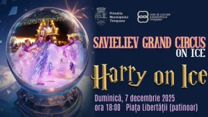 TIMIȘOARA: Universul lui Harry Potter prinde viață pe gheață