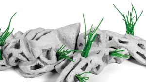 Cartea de Poezie a Anului, premiată la Radio România Cultural