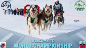 Campionatele Mondiale WSA ”Rotunda Gate 2026” au fost anulate