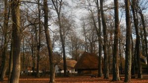 Muzeul Satului Bănățean din Timișoara, închis temporar