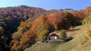 VÂLCEA: Geoparcul ”Oltenia de sub Munte”, promovat prin noi trasee turistice