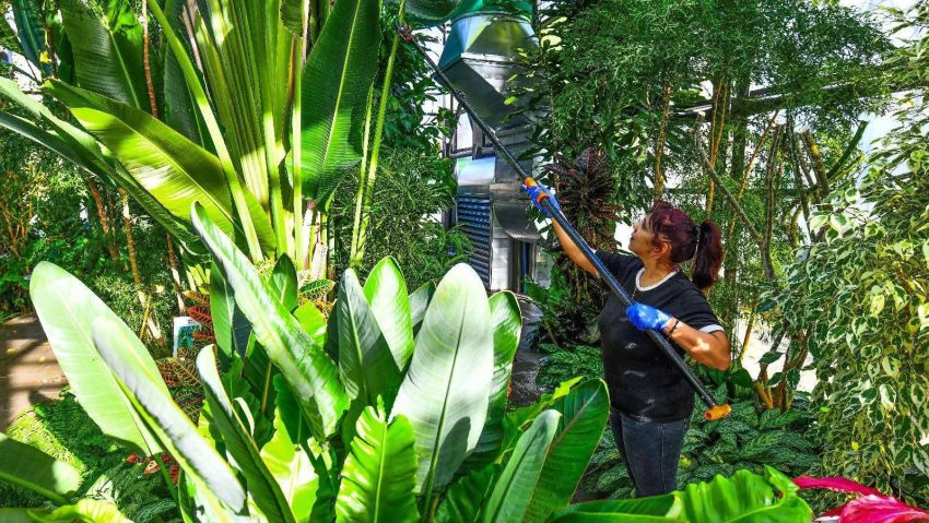 BUCUREȘTI:  Iarna e ca vara, la serele exotice din Parcul Drumul Taberei