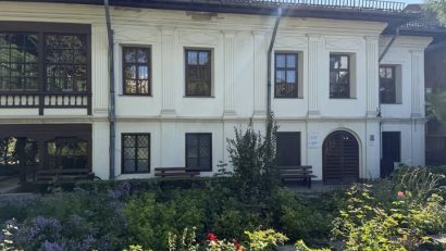 Muzeul Theodor Pallady, închis temporar pentru lucrări de reorganizare