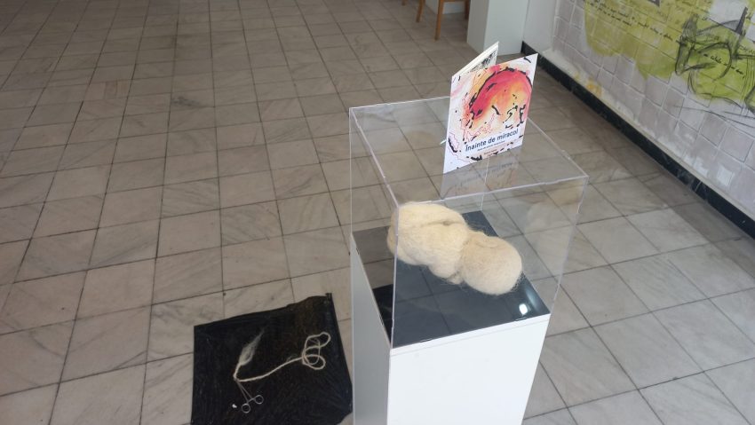 BRAȘOV: „Flux – Manifest invers”, la Galeriile Europe