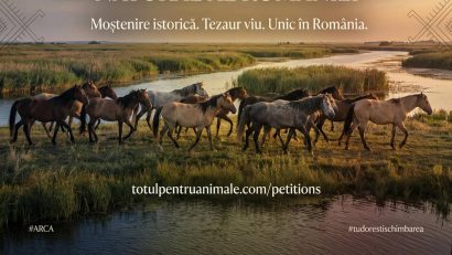 Petiție pentru salvarea cailor liberi din Delta Dunării!
