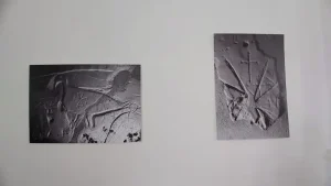 95 de piese din patrimoniul MINAC, expuse la Muzeul Vasile Pîrvan din Bârlad | AUDIO