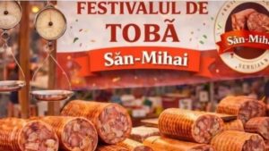Festivalul tobei de la Sân-Mihai, Serbia