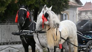 Paștele cailor, o tradiție păstrată la Târgoviște | GALERIE FOTO