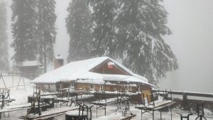 Vânt puternic în Postăvarul