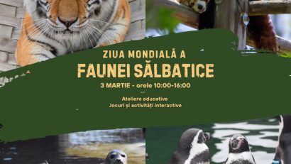 Ziua Mondială a Faunei Sălbatice va fi sărbătorită la Zoo Brașov