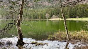 Centrul Ecoturistic Lacul Sfânta Ana – Tinovul Mohoş a fost inaugurat, oficial, astăzi