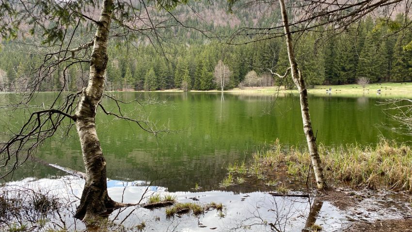 Centrul Ecoturistic Lacul Sfânta Ana – Tinovul Mohoş a fost inaugurat, oficial, astăzi
