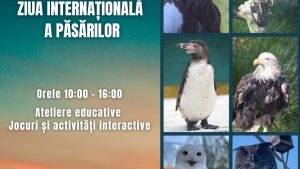 Ziua Internațională a Păsărilor va fi marcată la Grădina Zoologică din Brașov