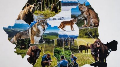 România, locul 2 mondial în clasamentul National Geographic cu cele mai bune destinații de călătorie pentru conservarea naturii