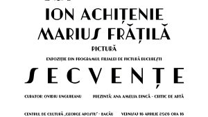 Expoziția „SECVENȚE”, Ion Achițenie și Marius Frățilă