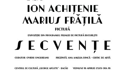 Expoziția „SECVENȚE”, Ion Achițenie și Marius Frățilă