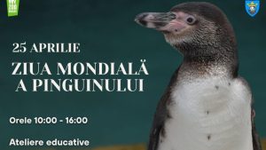 Ziua Mondială a Pinguinului va fi sărbătorită la Grădina Zoologică din Brașov