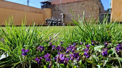 Program special de vizitare la Memorialul din Sighet