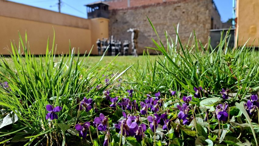 Program special de vizitare la Memorialul din Sighet